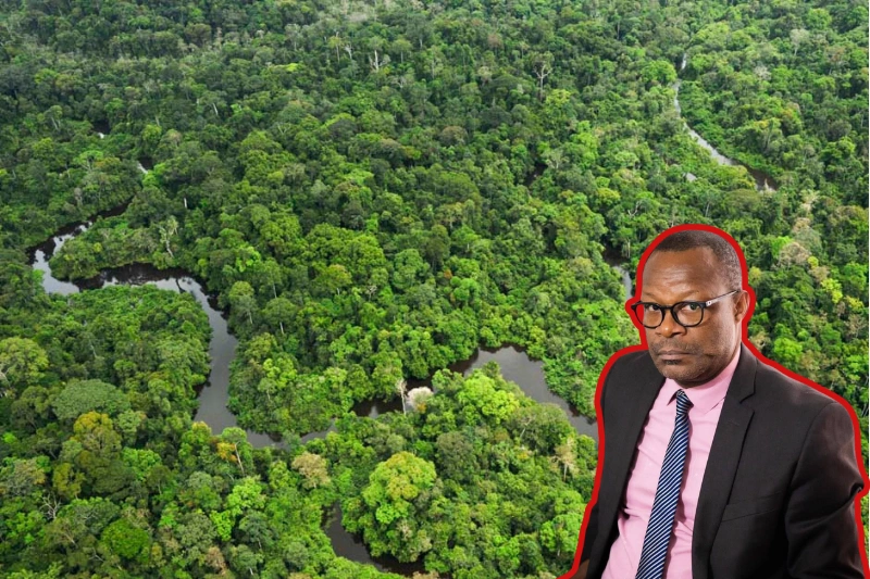 Transition verte au Gabon : vers une gouvernance environnementale plus équitable et souveraine