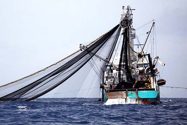 Gabon–UE : Vers la fin d’un accord de pêche déséquilibré ? Gabon–UE : Vers la fin d’un accord de pêche déséquilibré ?