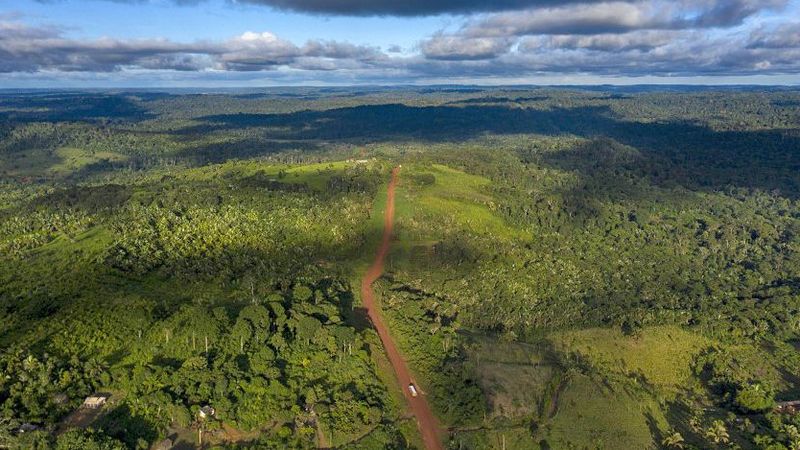 Biodiversité en péril : le WWF tire la sonnette d’alarme pour les écosystèmes d’eau douce en Afrique