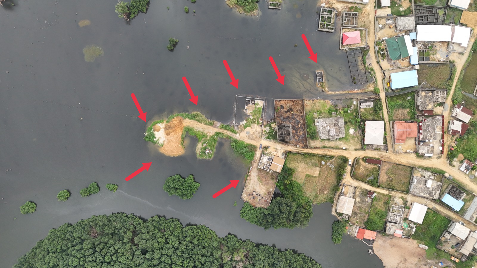 Protection de la mangrove : Mays Mouissi officialise deux partenariats stratégiques Protection de la mangrove : Mays Mouissi officialise deux partenariats stratégiques